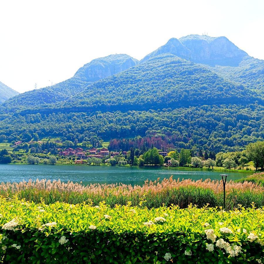 Casa Vacanze Alessandro Spinone Al Lago Екстер'єр фото